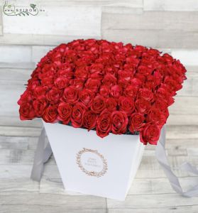 80 red roses in box
