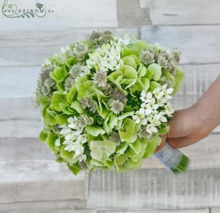 Bridal bouquet with green hydrangeas, astrantia, bouvardia (green, white)