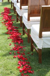 Haraszthy Vallejo Etyek Weinberge 3 m, rote Blütenblätter, Hochzeit