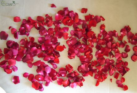 Petals red, wedding