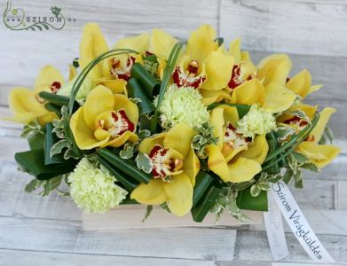 10 gelbe orchideen in natur holzkiste
