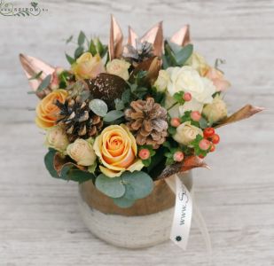 Winter flowerpot with peach flowers 