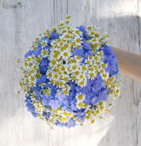 bridal bouquet (hortensia,chamomile, blue, white)