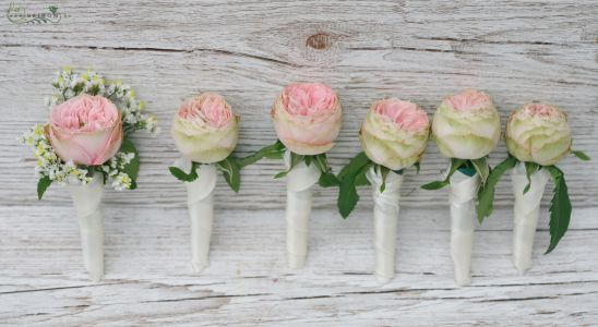 kitűző (angol rózsa, sóvirág, rózsaszín)