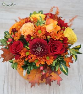 Pumpkin bouquet (19 stems)