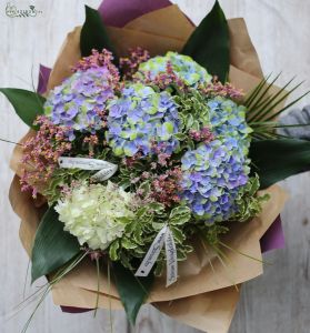 mixed bouquet ot 6 hydrangeas (10 st)