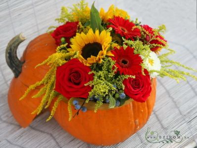 pumpkin bouquet (16 stems)