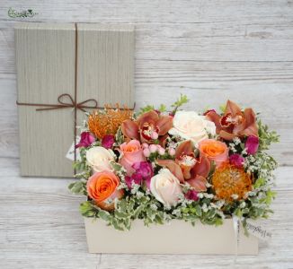 Elegante Blumenkasten mit Orchidee (14 Stiele)