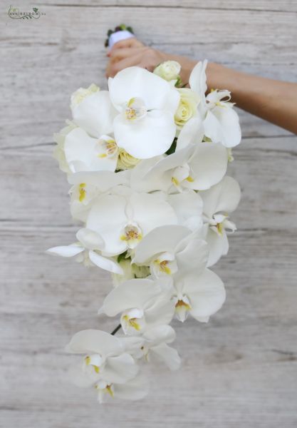 Menyasszonyi cseppcsokor (phalaenopsis orchidea, rózsa, fehér)