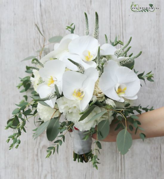 Menyasszonyi csokor (phalaenopsis, orchidea, veronika, fehér)