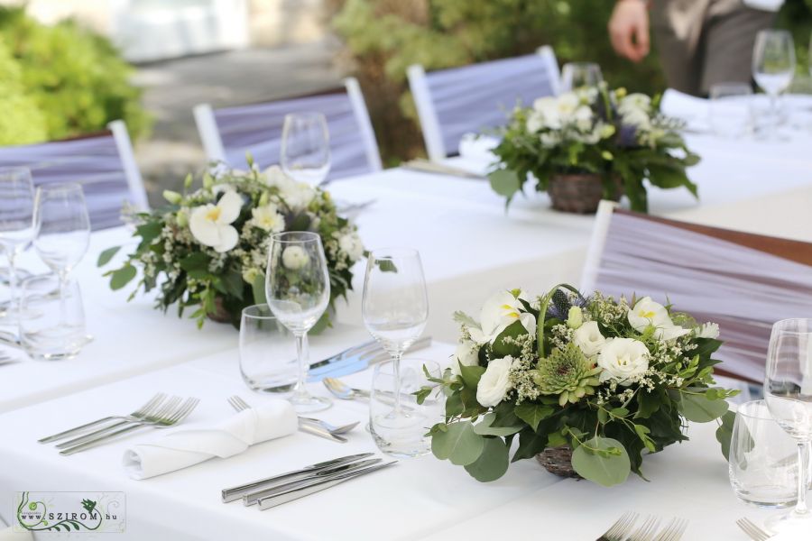 Esküvői asztaldísz kosárban, Emile Étterem Budapest (liziantusz, phalaenopsis orchidea, kövirózsa, eukaliptusz fehér, zöld)