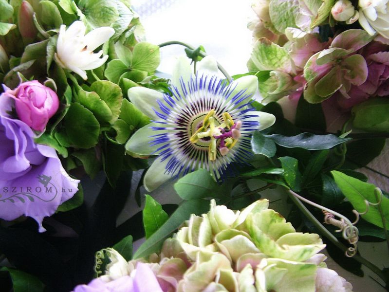 Főasztaldísz (golgota-virág, hortenzia, liziantusz, lila), esküvő