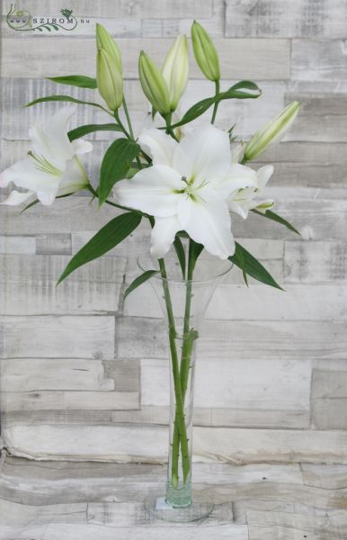 Fehér liliom vázában, esküvő