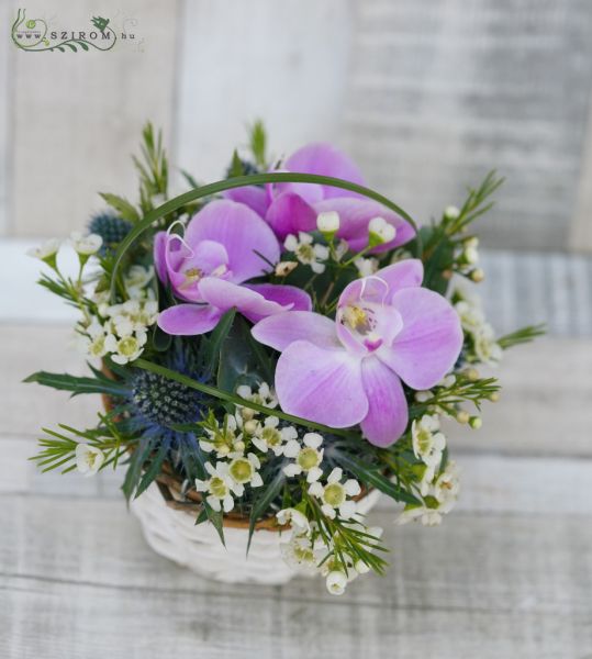 Asztaldísz kis kosár orchideával (lila), esküvő