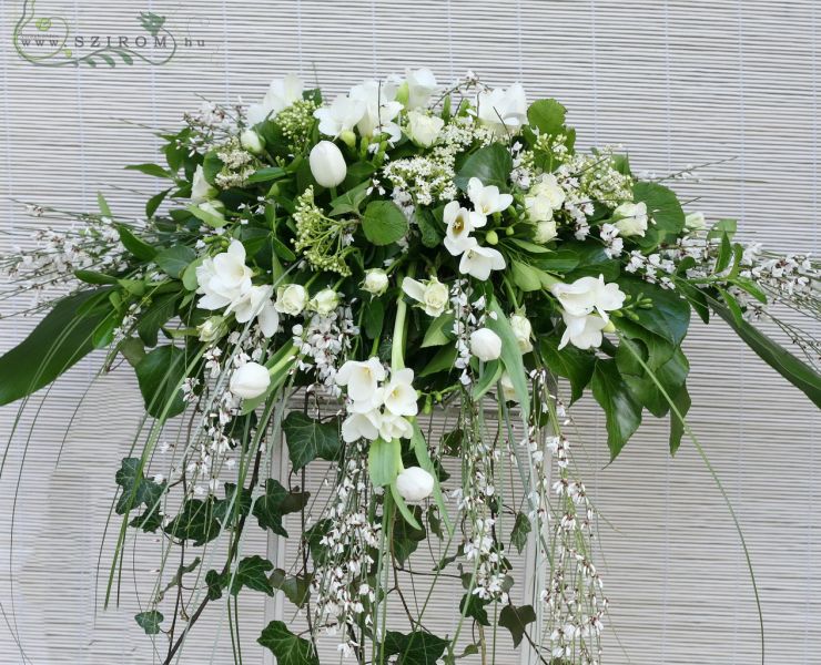 Főasztaldísz fréziás, leomló (tulipán, frézia, bokros rózsa, genista, fehér), esküvő