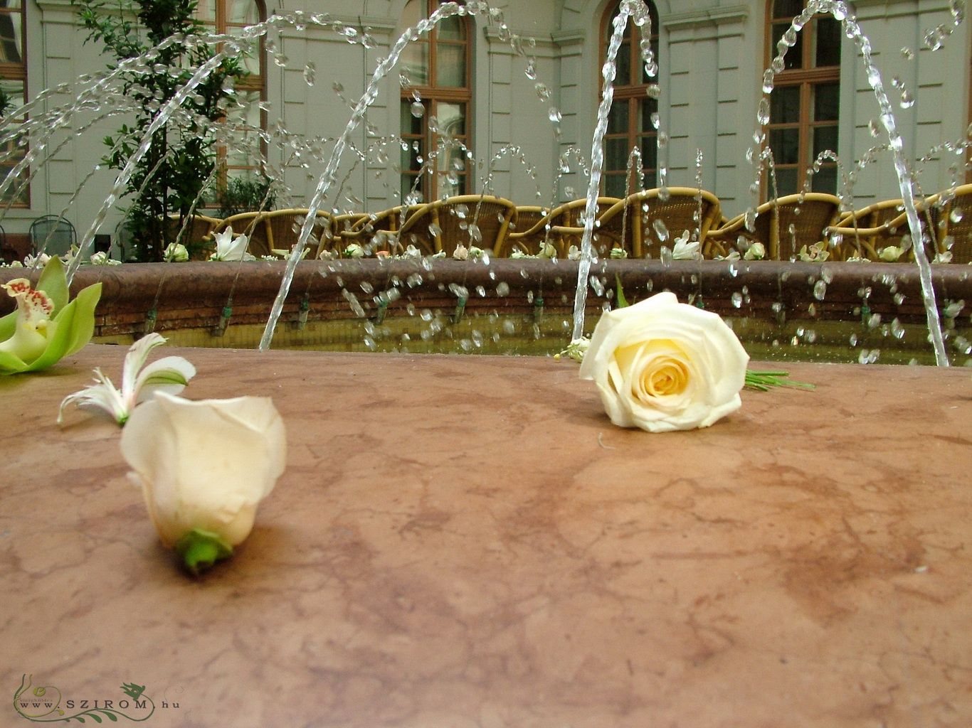 Flowers around the fountain , (white rose) Ybl palace, wedding