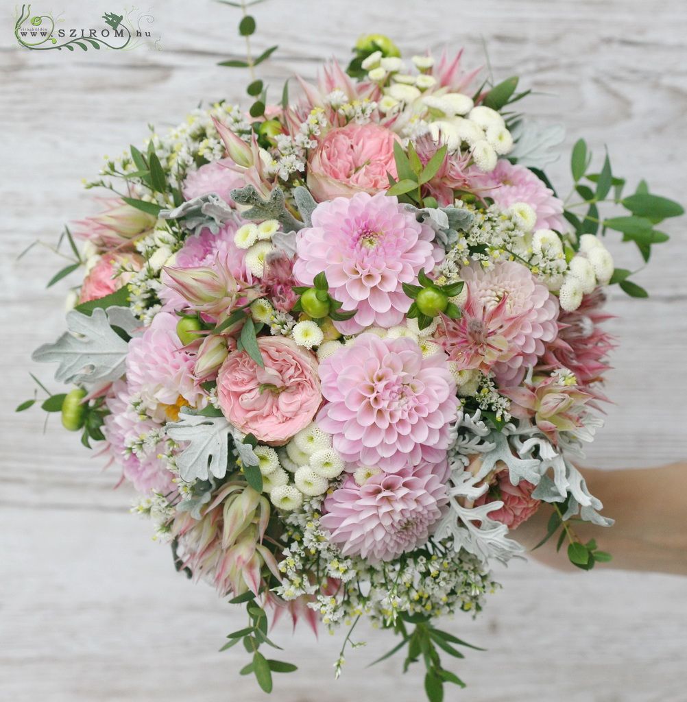 Menyasszonyi csokor (angol rózsa, protea, dália, matricaria, sóvirág, rózsaszín) 