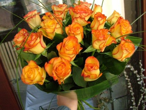20 orange bi-color roses 
