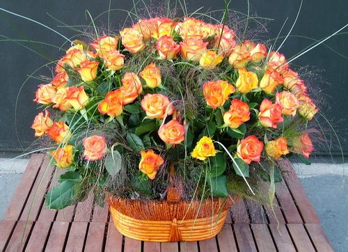 basket of 60 orange roses (70cm)