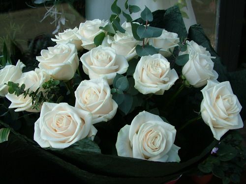 sympathy bouquet of 20 white roses and eucalyptuses