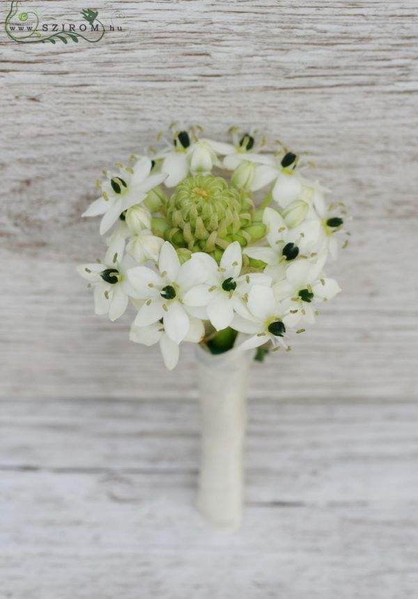 Boutonniere (ornitogalum, white)