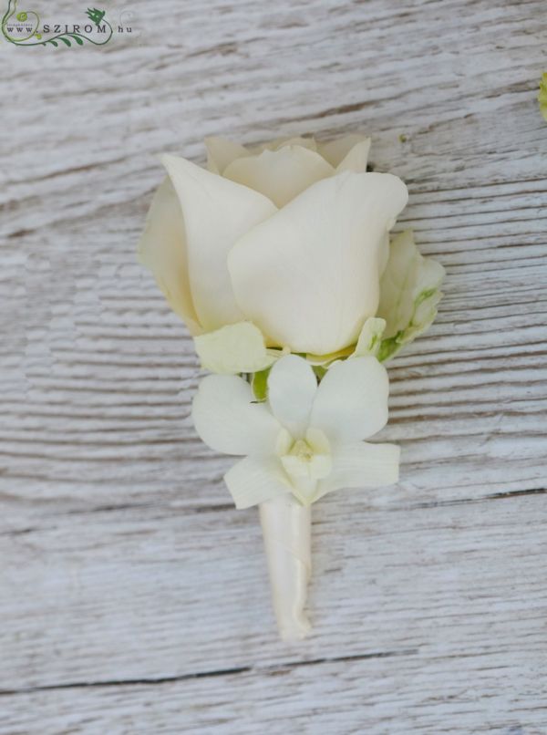 Boutonniere of rose (dendrobium, rose, cream)