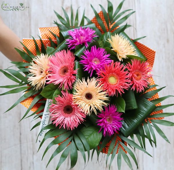 Spider gerberas in a big bouquet (10 stems)