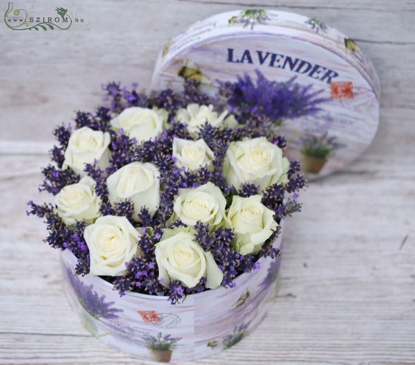 Weiße Rosen in Lavendel-Box