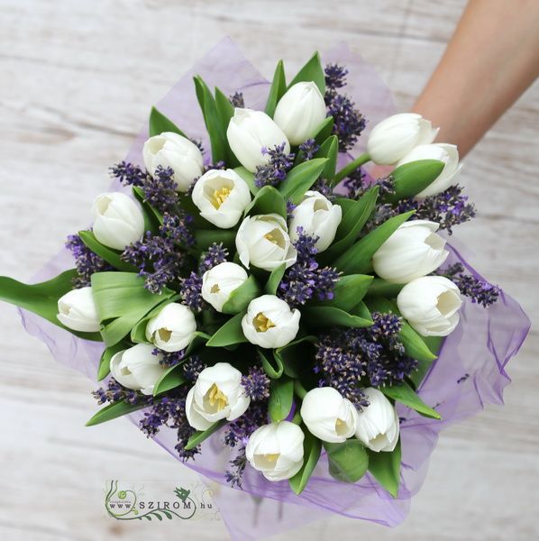 20 Tulpen mit Lavendel