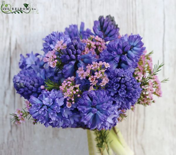 Bridal bouquet (hyacinth, wax flower, purple, blue)