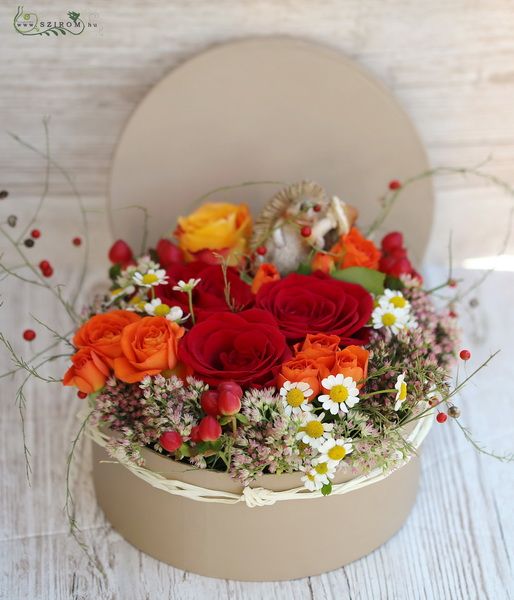 Autumn flower box with hedgehog