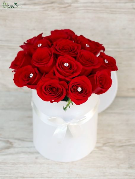 red roses in cylinder box (17 stems)