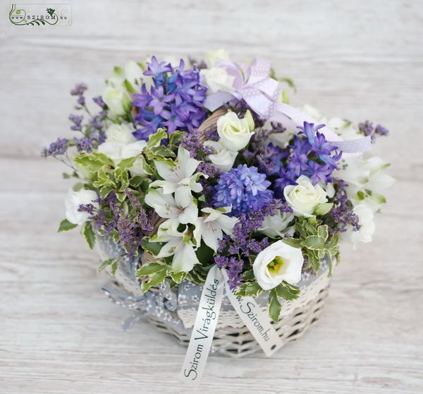 Small basket with hyacinths (13 stems)