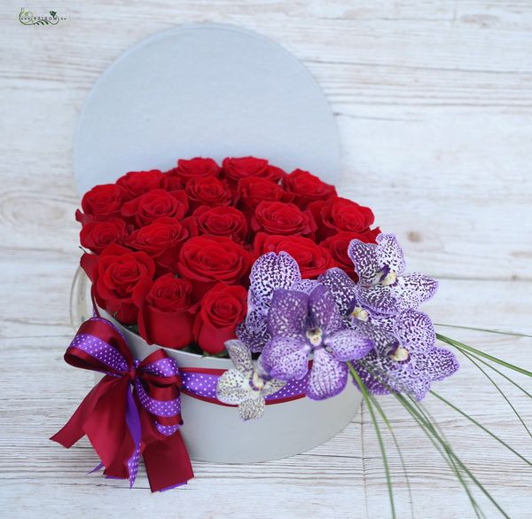 Vanda orchid red rose box (25 stems)