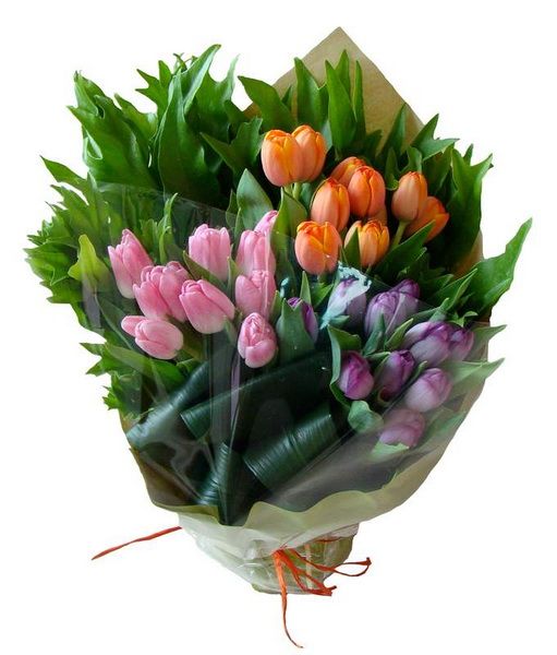Structural bouquet of tulips (27 stems)