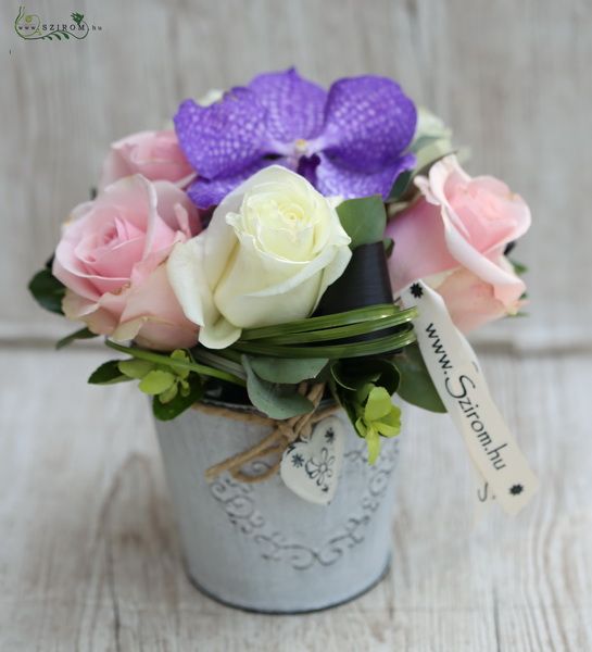 6 pasztel roses with vanda orchid, in tin pot with heart