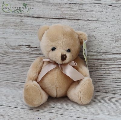 Plush teddy bear (14cm)