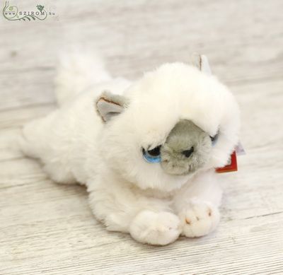 Lying white kitten (25cm)