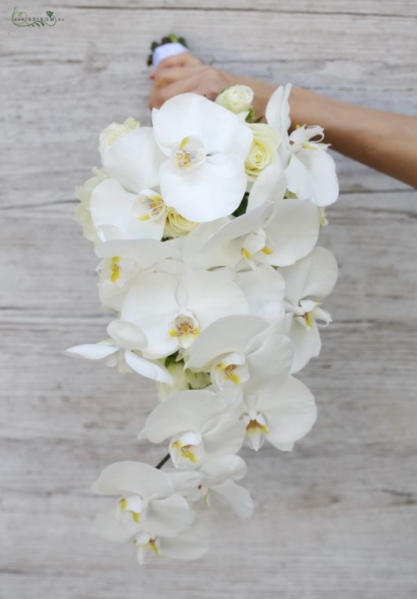 menyasszonyi cseppcsokor (phalaenopsis orchidea, rózsa, fehér)