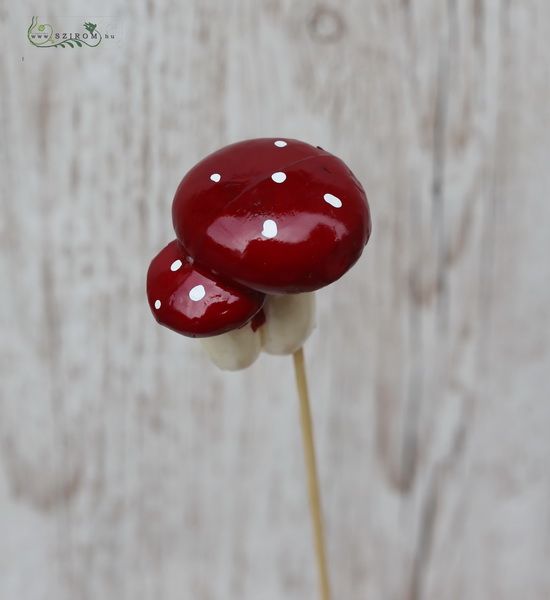 Mushroom on stick