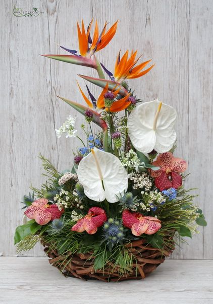 Tropical basket with strelizias, anthuriums, and vanda orchids