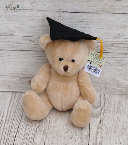 Plush graduation teddy 19cm