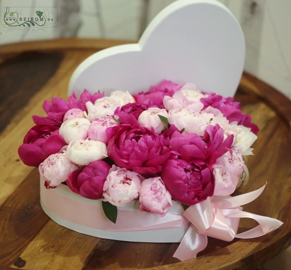 Heart shaped box with 30 peonies
