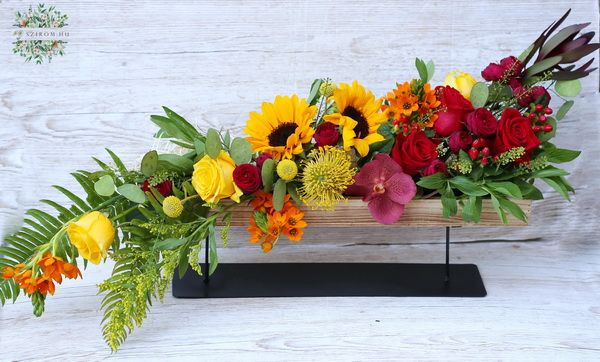 Wooden base with metallic leggs, with an S shaped arrangement