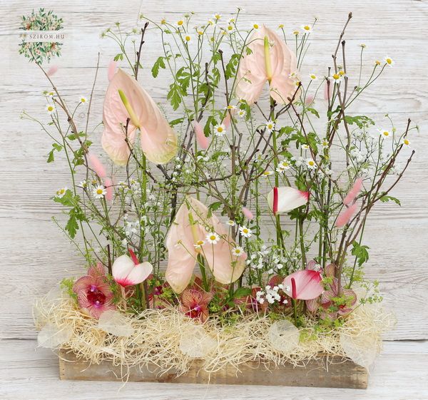 modern rustic flower arrangement with orchids, anthuriums, and chamomiles 