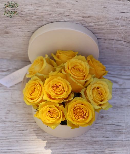 9 yellow roses in box