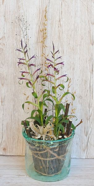 Tillandsia leiboldiana and Xerographica in handmade vase