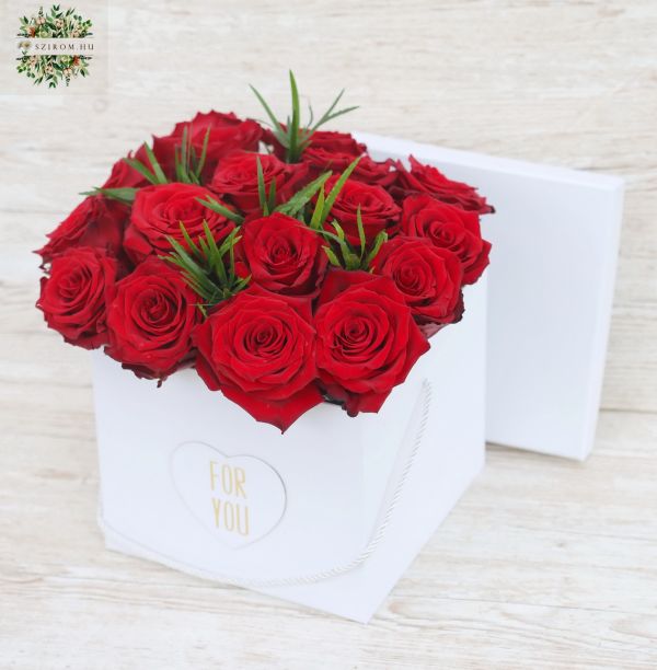 red roses in a cube box (17 stams)