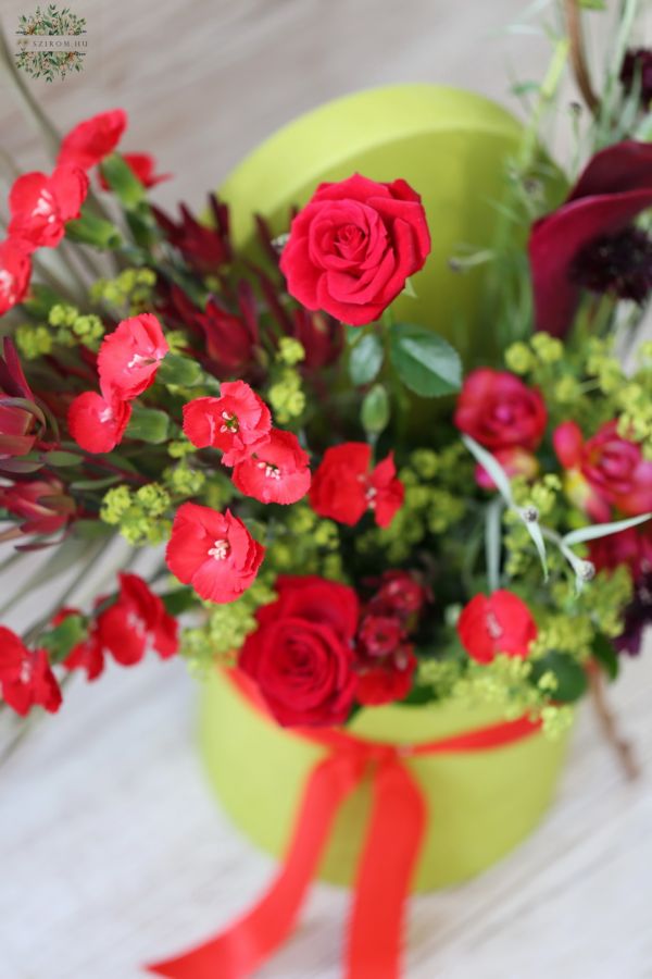 Üde zöld félhold doboz vörös bokros rózsával, kálával és dianthus solomioval 