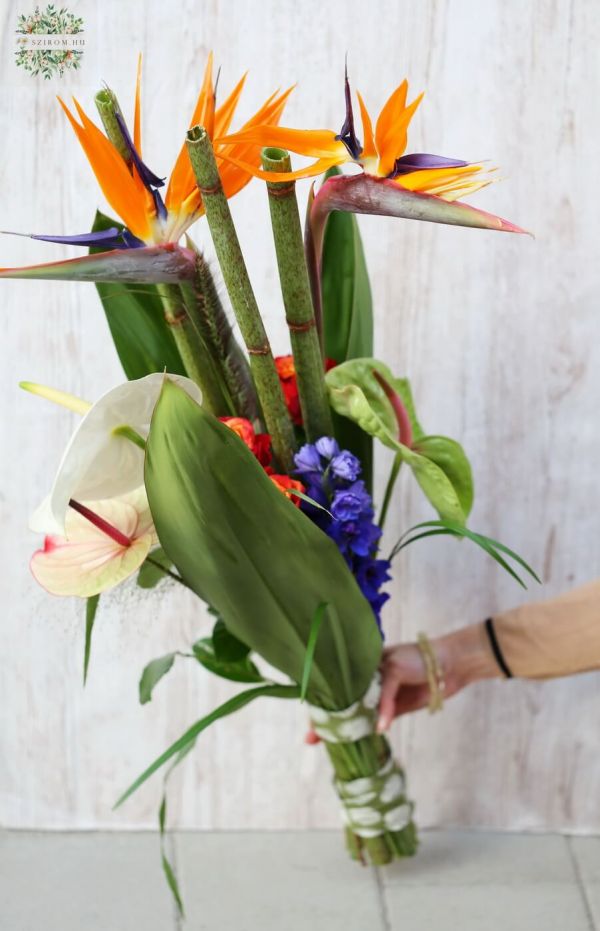 Parallel bouquet with strelitzias, anthuriums